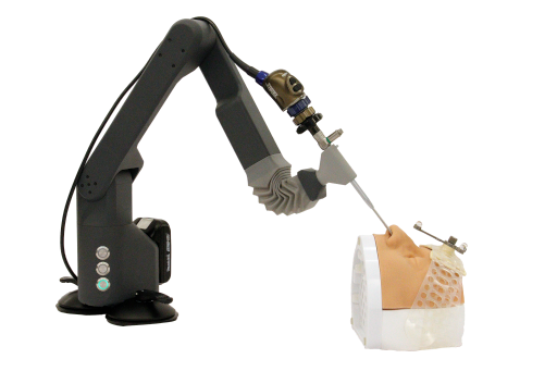 Home raambo endoscope